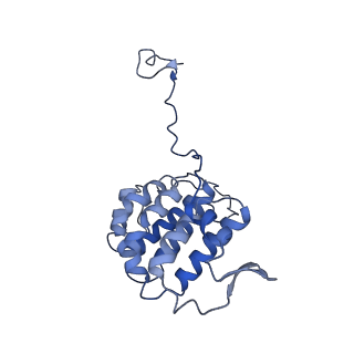 26624_7ung_YB_v1-1
48-nm repeat of the human respiratory doublet microtubule