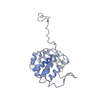 26624_7ung_YG_v1-1
48-nm repeat of the human respiratory doublet microtubule