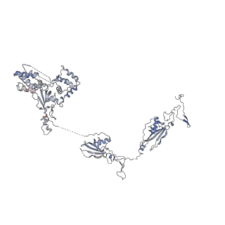 26624_7ung_Y_v1-1
48-nm repeat of the human respiratory doublet microtubule