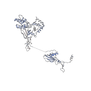 26624_7ung_Z_v1-1
48-nm repeat of the human respiratory doublet microtubule