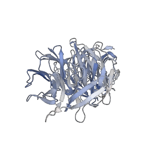 26624_7ung_e_v1-1
48-nm repeat of the human respiratory doublet microtubule