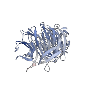 26624_7ung_f_v1-1
48-nm repeat of the human respiratory doublet microtubule