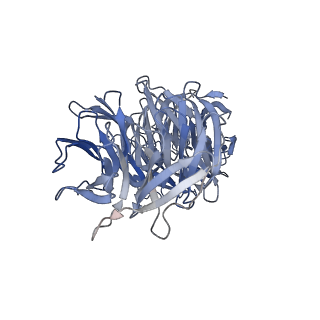 26624_7ung_g_v1-1
48-nm repeat of the human respiratory doublet microtubule