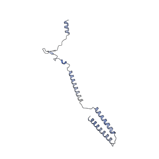 26624_7ung_h_v1-1
48-nm repeat of the human respiratory doublet microtubule