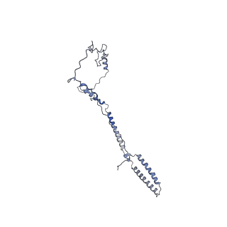 26624_7ung_i_v1-1
48-nm repeat of the human respiratory doublet microtubule