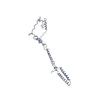 26624_7ung_j_v1-1
48-nm repeat of the human respiratory doublet microtubule