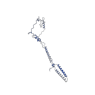 26624_7ung_k_v1-1
48-nm repeat of the human respiratory doublet microtubule