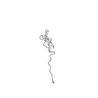 26624_7ung_y_v1-1
48-nm repeat of the human respiratory doublet microtubule