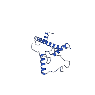 26625_7unk_C_v1-1
Structure of Importin-4 bound to the H3-H4-ASF1 histone-histone chaperone complex