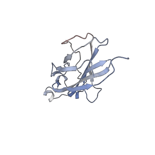 26625_7unk_D_v1-1
Structure of Importin-4 bound to the H3-H4-ASF1 histone-histone chaperone complex
