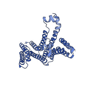 26627_7unm_A_v1-1
Human TMEM175 in an closed state