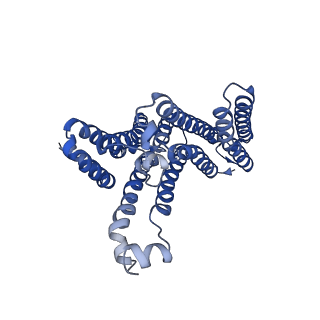 26627_7unm_B_v1-1
Human TMEM175 in an closed state