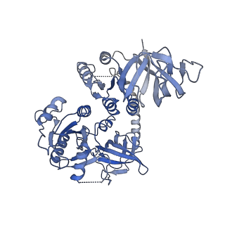 26629_7unq_x_v1-0
Compact IF2-GDP bound to the Pseudomonas aeruginosa 70S ribosome initiation complex, from focused classification and refinement (I-A)