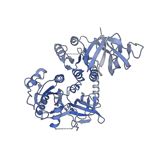 26629_7unq_x_v1-1
Compact IF2-GDP bound to the Pseudomonas aeruginosa 70S ribosome initiation complex, from focused classification and refinement (I-A)