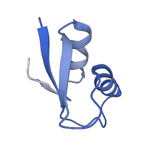 26630_7unr_2_v1-1
Pseudomonas aeruginosa 70S ribosome initiation complex bound to compact IF2-GDP (composite structure I-A)