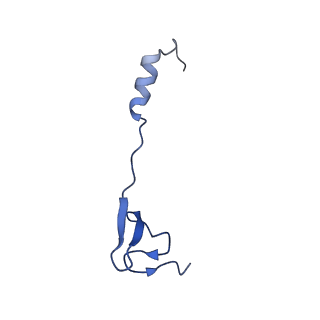 26630_7unr_4_v1-0
Pseudomonas aeruginosa 70S ribosome initiation complex bound to compact IF2-GDP (composite structure I-A)