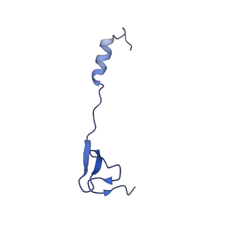 26630_7unr_4_v1-1
Pseudomonas aeruginosa 70S ribosome initiation complex bound to compact IF2-GDP (composite structure I-A)