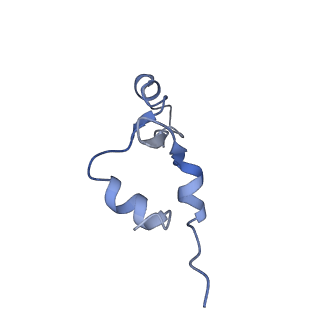26630_7unr_7_v1-0
Pseudomonas aeruginosa 70S ribosome initiation complex bound to compact IF2-GDP (composite structure I-A)