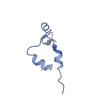 26630_7unr_7_v1-1
Pseudomonas aeruginosa 70S ribosome initiation complex bound to compact IF2-GDP (composite structure I-A)