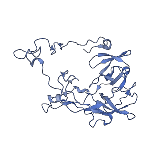 26630_7unr_C_v1-0
Pseudomonas aeruginosa 70S ribosome initiation complex bound to compact IF2-GDP (composite structure I-A)