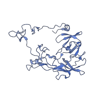 26630_7unr_C_v1-1
Pseudomonas aeruginosa 70S ribosome initiation complex bound to compact IF2-GDP (composite structure I-A)