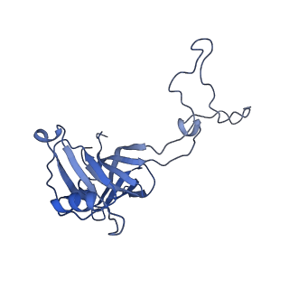 26630_7unr_D_v1-0
Pseudomonas aeruginosa 70S ribosome initiation complex bound to compact IF2-GDP (composite structure I-A)