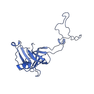 26630_7unr_D_v1-1
Pseudomonas aeruginosa 70S ribosome initiation complex bound to compact IF2-GDP (composite structure I-A)