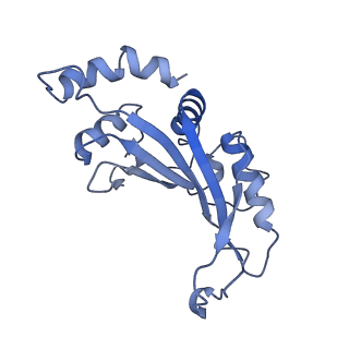 26630_7unr_F_v1-0
Pseudomonas aeruginosa 70S ribosome initiation complex bound to compact IF2-GDP (composite structure I-A)