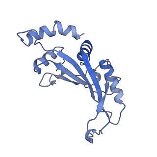 26630_7unr_F_v1-1
Pseudomonas aeruginosa 70S ribosome initiation complex bound to compact IF2-GDP (composite structure I-A)