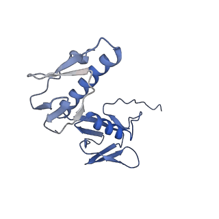 26630_7unr_G_v1-0
Pseudomonas aeruginosa 70S ribosome initiation complex bound to compact IF2-GDP (composite structure I-A)