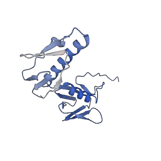 26630_7unr_G_v1-1
Pseudomonas aeruginosa 70S ribosome initiation complex bound to compact IF2-GDP (composite structure I-A)