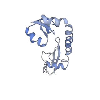 26630_7unr_H_v1-1
Pseudomonas aeruginosa 70S ribosome initiation complex bound to compact IF2-GDP (composite structure I-A)