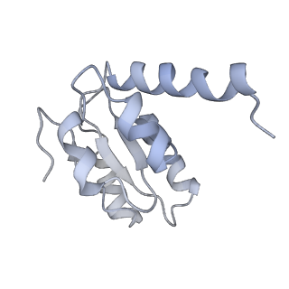26630_7unr_I_v1-0
Pseudomonas aeruginosa 70S ribosome initiation complex bound to compact IF2-GDP (composite structure I-A)