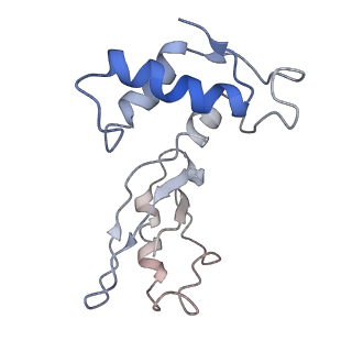 26630_7unr_J_v1-0
Pseudomonas aeruginosa 70S ribosome initiation complex bound to compact IF2-GDP (composite structure I-A)