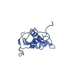 26630_7unr_L_v1-1
Pseudomonas aeruginosa 70S ribosome initiation complex bound to compact IF2-GDP (composite structure I-A)