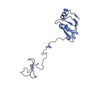 26630_7unr_N_v1-0
Pseudomonas aeruginosa 70S ribosome initiation complex bound to compact IF2-GDP (composite structure I-A)