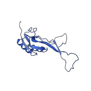 26630_7unr_O_v1-0
Pseudomonas aeruginosa 70S ribosome initiation complex bound to compact IF2-GDP (composite structure I-A)