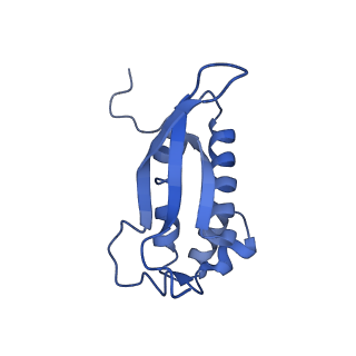 26630_7unr_P_v1-1
Pseudomonas aeruginosa 70S ribosome initiation complex bound to compact IF2-GDP (composite structure I-A)