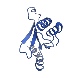 26630_7unr_Q_v1-1
Pseudomonas aeruginosa 70S ribosome initiation complex bound to compact IF2-GDP (composite structure I-A)