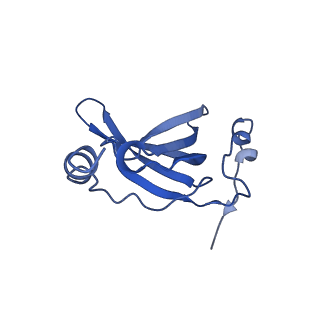 26630_7unr_R_v1-1
Pseudomonas aeruginosa 70S ribosome initiation complex bound to compact IF2-GDP (composite structure I-A)