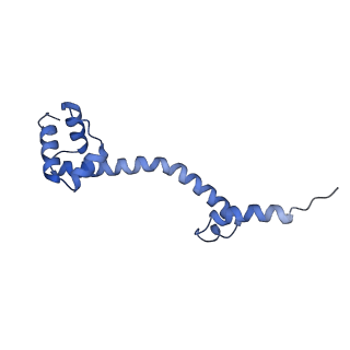 26630_7unr_S_v1-0
Pseudomonas aeruginosa 70S ribosome initiation complex bound to compact IF2-GDP (composite structure I-A)