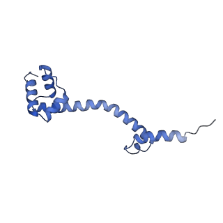 26630_7unr_S_v1-1
Pseudomonas aeruginosa 70S ribosome initiation complex bound to compact IF2-GDP (composite structure I-A)
