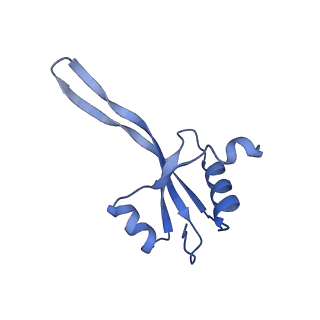 26630_7unr_V_v1-0
Pseudomonas aeruginosa 70S ribosome initiation complex bound to compact IF2-GDP (composite structure I-A)