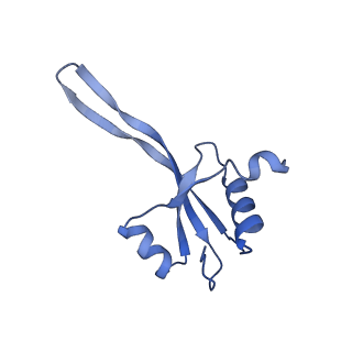 26630_7unr_V_v1-1
Pseudomonas aeruginosa 70S ribosome initiation complex bound to compact IF2-GDP (composite structure I-A)