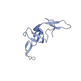 26630_7unr_W_v1-0
Pseudomonas aeruginosa 70S ribosome initiation complex bound to compact IF2-GDP (composite structure I-A)