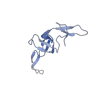 26630_7unr_W_v1-1
Pseudomonas aeruginosa 70S ribosome initiation complex bound to compact IF2-GDP (composite structure I-A)