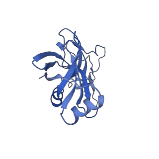 26630_7unr_X_v1-0
Pseudomonas aeruginosa 70S ribosome initiation complex bound to compact IF2-GDP (composite structure I-A)
