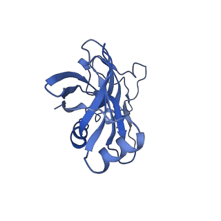 26630_7unr_X_v1-1
Pseudomonas aeruginosa 70S ribosome initiation complex bound to compact IF2-GDP (composite structure I-A)