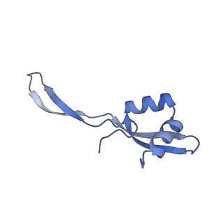 26630_7unr_Z_v1-0
Pseudomonas aeruginosa 70S ribosome initiation complex bound to compact IF2-GDP (composite structure I-A)