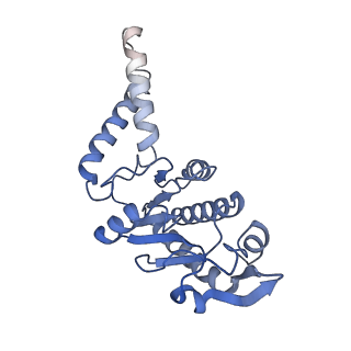 26630_7unr_b_v1-0
Pseudomonas aeruginosa 70S ribosome initiation complex bound to compact IF2-GDP (composite structure I-A)